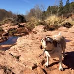 Sylvia Sadler - @sylvie.sadler67 - Instagram