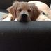 Sylvia Sadler - Facebook