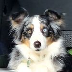 Sylvia Sadler - @sylvia.sadler.10 - Instagram