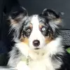 sylviasadler - @sylviasadler - TikTok