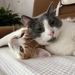 Silvia Seiler - @liesel_punkt - Instagram