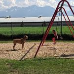 Sylvia Seiler - @grannie_syl - Instagram