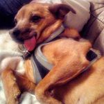 sylvi - @sylviaseitz55 - Instagram