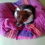 Sylvia Seitz - @sylviaseitz - Instagram