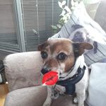 Sylvia Seitz - @sylvia.seitz.754 - Instagram