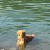 Sylvia Seitz - Facebook