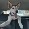 Silvia Servin - @silvia.servin6 - TikTok