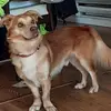 Sylvia Seaward - @sylvia.seaward - TikTok
