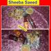 Sylvia Shaffer - Facebook
