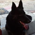 Sylvia Shaw - @sylviashaw5945 - Instagram