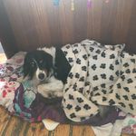 Sylvia Sheehan - @sheehan.sylvia - Instagram