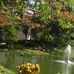 Sylvia Shields - Facebook