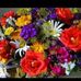 Sylvia Shields - Facebook