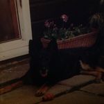 Sylvia Small - @the__borrowers - Instagram