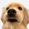 sylviasmallsnbfd - @sylviasmallsnbfd - TikTok
