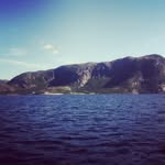 Sylvia D. Spain - @heroicfnbrbrown - Instagram