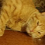 Sylvia Sperling - Facebook
