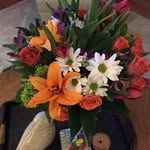 Sylvia Starling - @sylviastarling48 - Instagram