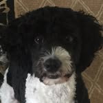 Sylvia Stern - @stern242424 - Instagram