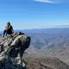 𝒮𝓎𝓁𝓋𝒾𝒶 𝒞𝑜𝓁𝓁𝒾𝓃𝓈 - @20thcenturyfox__ - TikTok