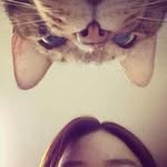 @_sylvia_sun_ - Instagram