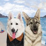 Sylvia Sun - @zion_barrett_the_gsds - Instagram