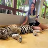 Sylvia sun - @sylvia.sun22 - TikTok