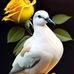 Silvia Tello - Facebook