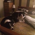 Sylvia Thomson - @thomson9097 - Instagram