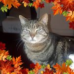 Sylvia Thomson - @sylvia.thomson.376 - Instagram