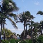 Sylvia Thomson - @sylvia.thomson.969952 - Instagram