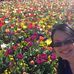 Sylvia Ting - Facebook