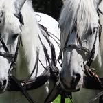 sylvia townsend - @sylviatownsend65 - Instagram