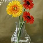 Sylvia Trejo - Facebook