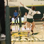 Sylvia Tuerke - @sylviatuerkevball - Instagram
