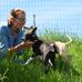 Hundeschule Sylvia Ulrich - Facebook