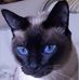 Silvia Ulrich - Facebook