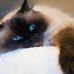 Sylvia Ulrich - Facebook