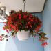Sylvia Ulrich - Facebook