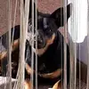 Sylvia Ulrich - @sylviaulrich55 - TikTok