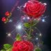 Silvia Uvalle - Facebook