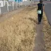 Sylvia Vidal - @srivasmzn - TikTok