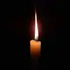 sylviavidal685 - @sylviavidal685 - TikTok