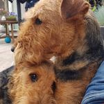 Sylvia Marin Visser - @sylviamarinvisser - Instagram