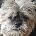 Sylvia Visser - @sylvia.visser.1291 - Instagram