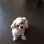 Sylvia Visser - @visser_sylvia - Instagram