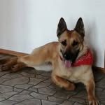 Sylvia Vogel - @janowsky.stollberg - Instagram