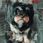 Sylvia Vogel - @syl62821 - Instagram