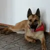 Sylvia Vogel - @sylvia.vogel - TikTok