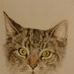 Sylvia Wainwright - Facebook